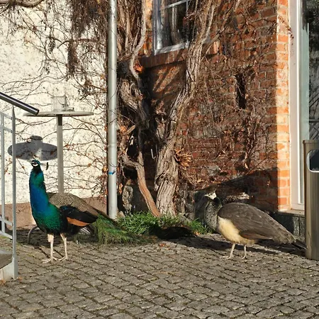 Boerdehof, Direkt An Der A2 & A14, Restaurant, Tagung, Individuell