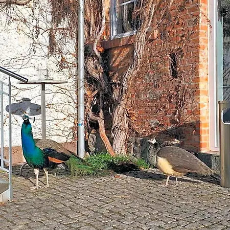 Hotel Boerdehof, Direkt An Der A2 & A14, Mit Restaurant