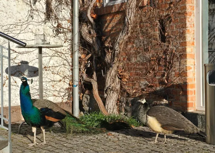 Boerdehof, Direkt An Der A2 & A14, Restaurant, Tagung, Individuell
